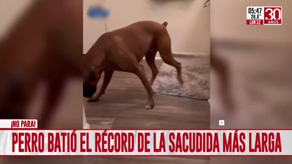 Crónica HD