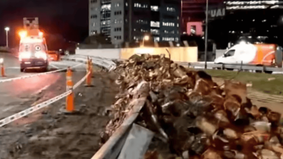 ¡Saqueo inminente! Camión que transportaba dulces chocó y volcó en plena autopista: así la gente arrasó con la mercadería en Panamericana y General Paz.