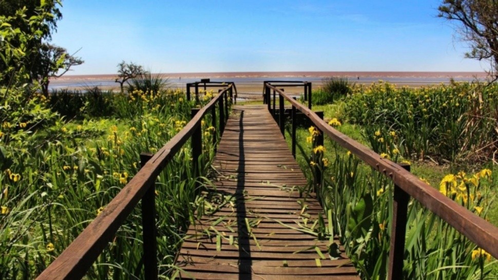 Escapada cerca de CABA: el punto turístico lleno de naturaleza que es ideal para descansar.