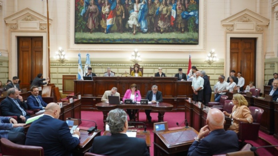 La reforma fue aprobada por unanimidad en el Senado y en la Cámara de Diputados tuvo 33 votos a favor y dos en contra.