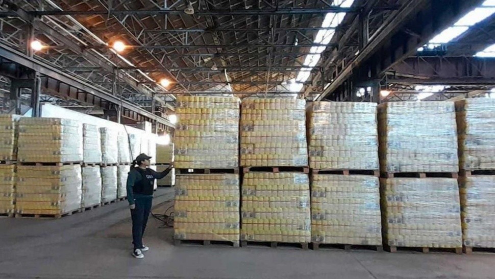 Los alimentos almacenados en galpones del Ministerio de Capital Humano.