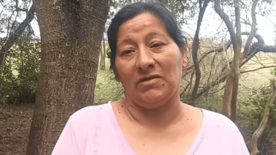 La mujer recordó el momento de la desaparición del menor.