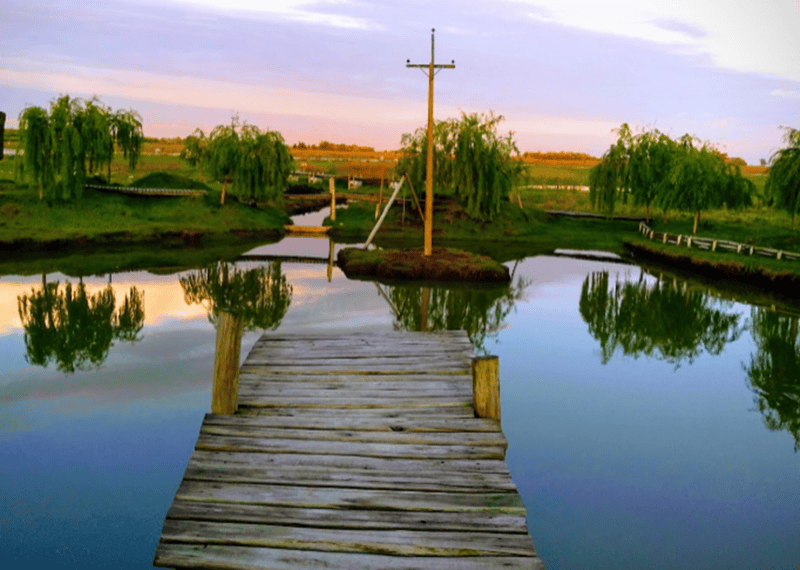 Disfruta de la naturaleza en Ernestina. 