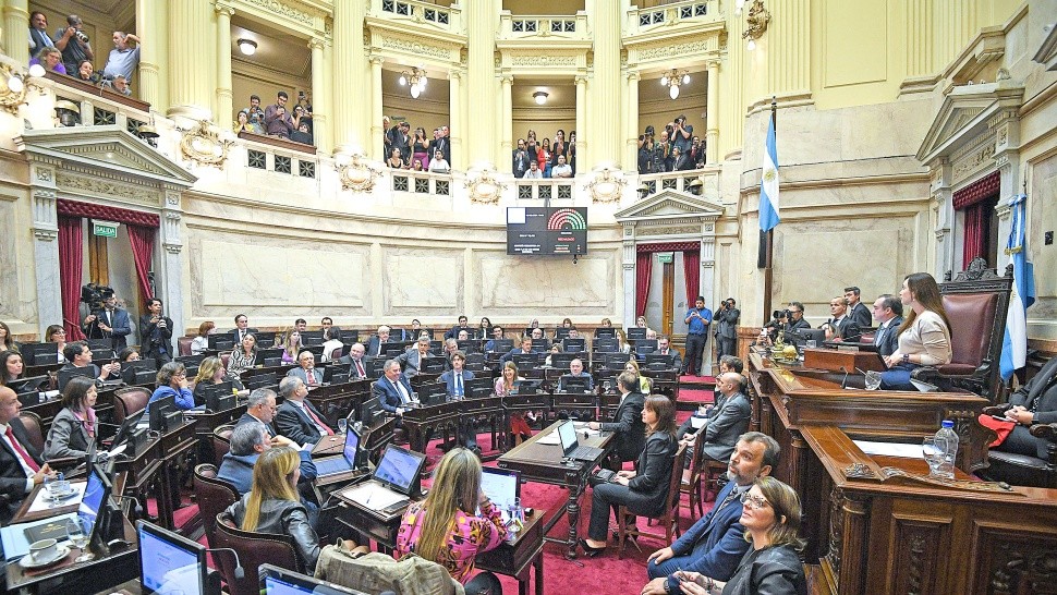 EL GOBIERNO DESCONOCERÍA LO QUE ESTABA CONVENIDO EN LA CÁMARA ALTA.