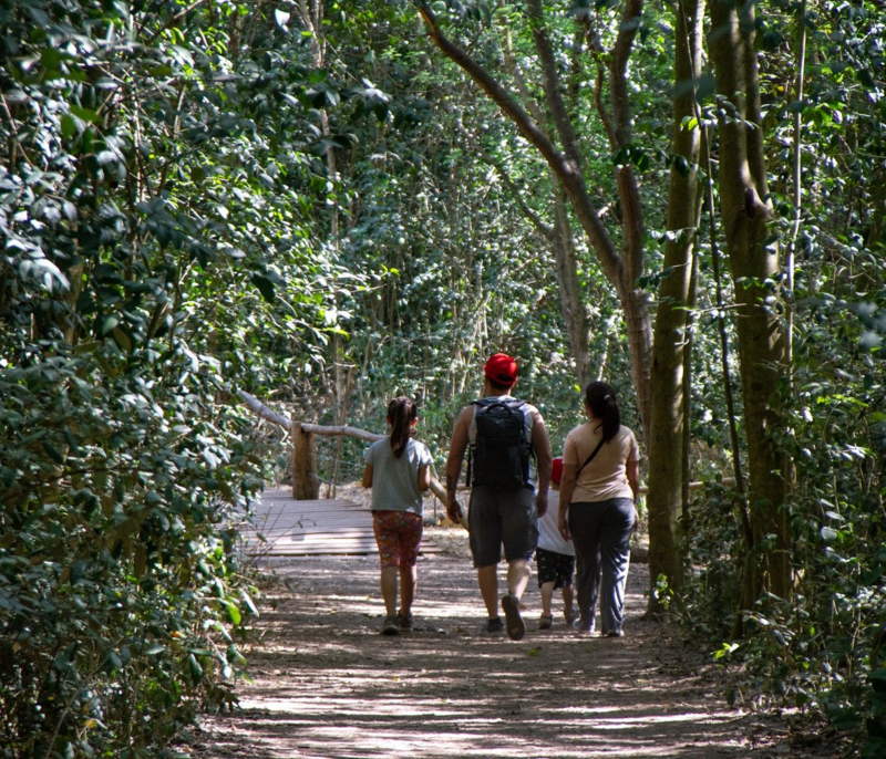  Disfruta de una aventura en medio del bosque de la Reserva Municipal Los Robles. 