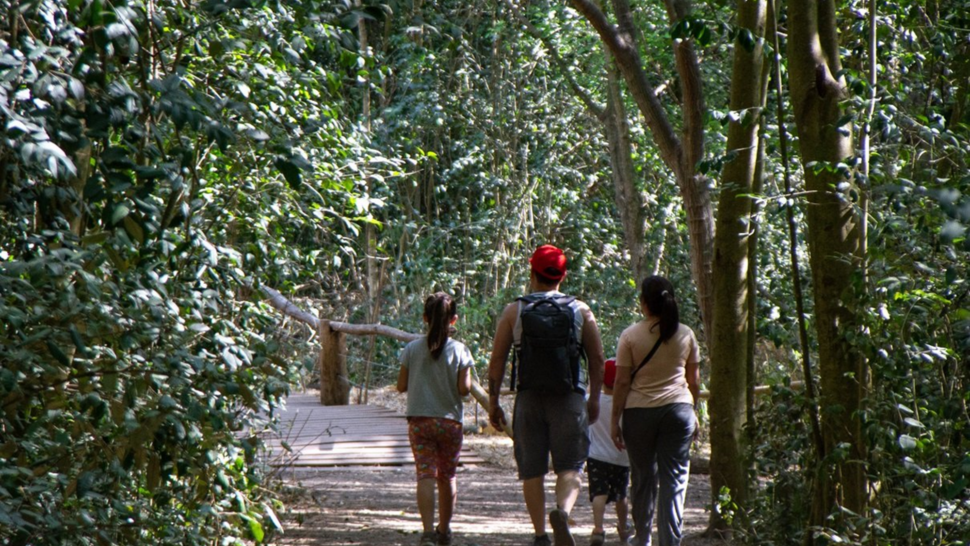 Escapada: los 3 destinos naturales para disfrutar el Dia del Niño en familia