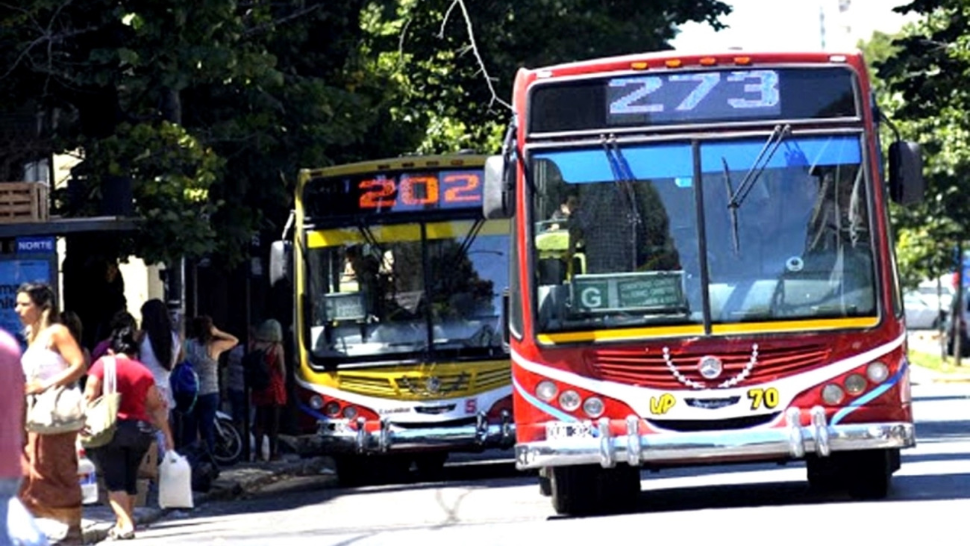 La medida afecta a las líneas de colectivos desde el número 200 en adelante que circulan por la Provincia.