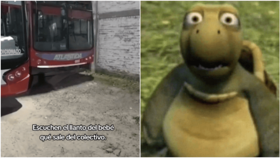 Un colectivero que terminaba su recorrido, grabó el espeluznante momento en el que se escuchaba el llanto de un 