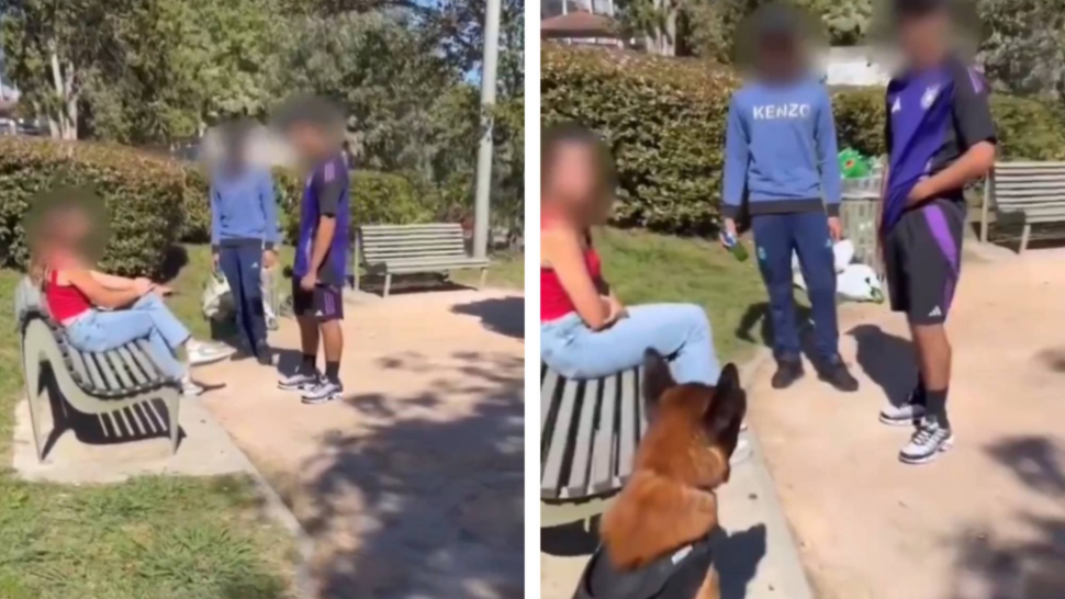 ¡VIDEO! Adolescentes acosaban a una chica en un parque hasta que sujeto con un pastor alemán intervino