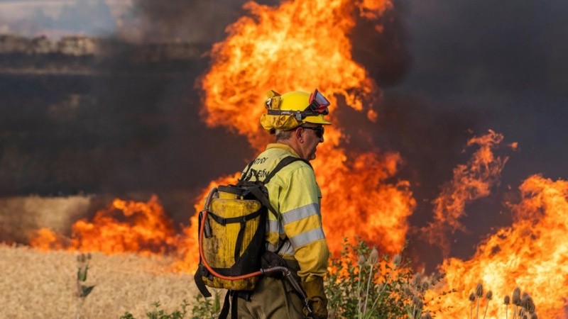 Los Bomberos realizan arduas tareas para combatir el fuego. 