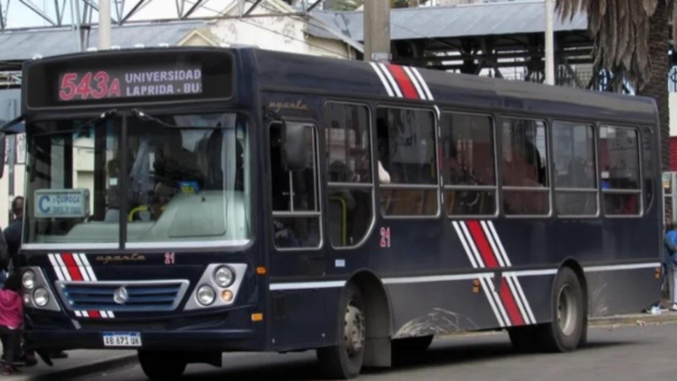 La víctima se desempeña como chofer en la línea 543.