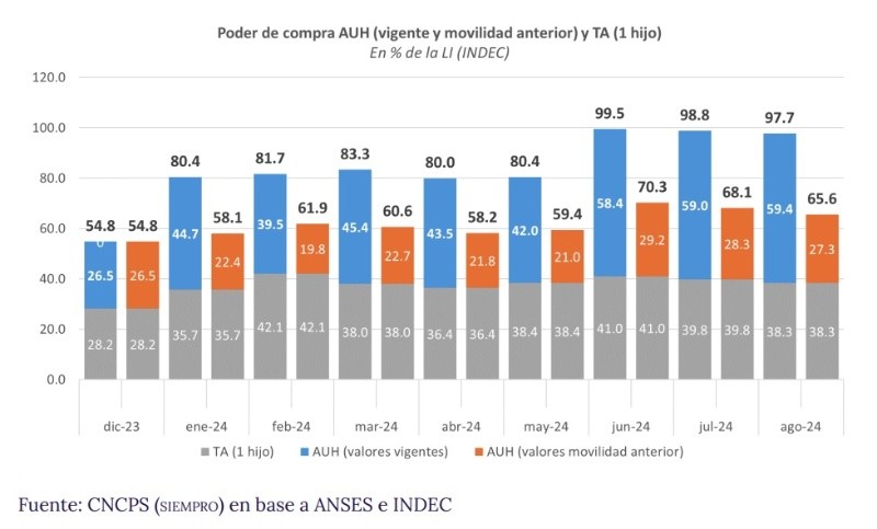  Gráfico del documento creado por el Consejo Coordinador de Políticas Sociales del Ministerio de Capital Humano.