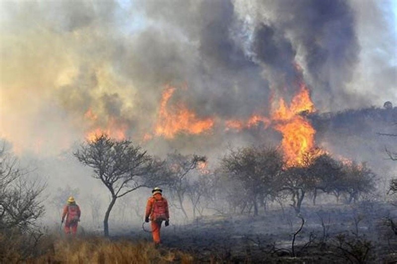   <a href='https://www.cronica.com.ar/tags/Incendio'>Incendio</a>s en Córdoba afectan a varios puntos de la provincia. 