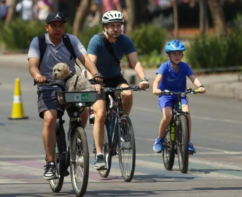  El ejercicio en bicicleta al aire libre o en casa hace que el cerebro se oxigene mejor.