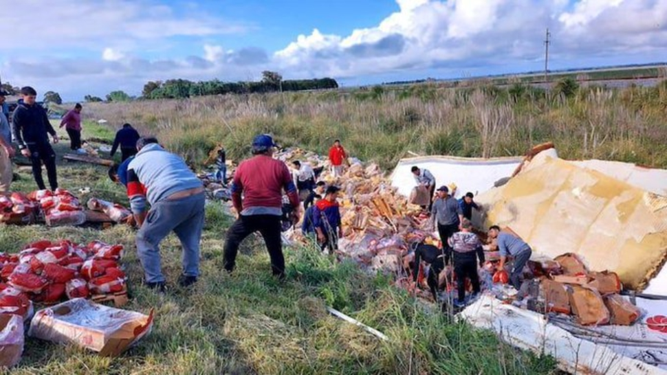 La gente se bajó de los autos y comenzó a llevarse los pollos que habían quedado desparramados a un costado de la ruta.