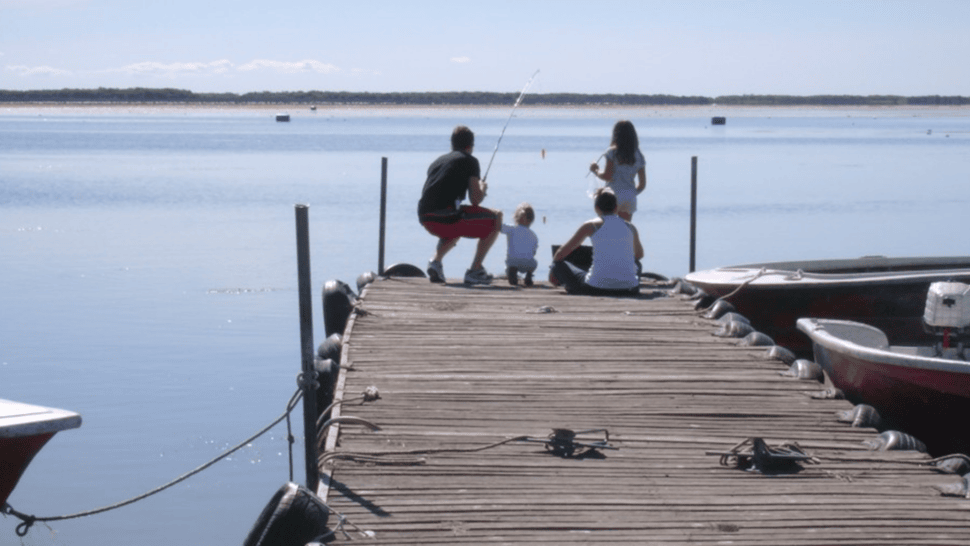 Actividades para toda la familia, recreos donde comer y amplios espacios verdes: reservas naturales de Buenos Aires que pocos conoce y tienen entrada gratuita.