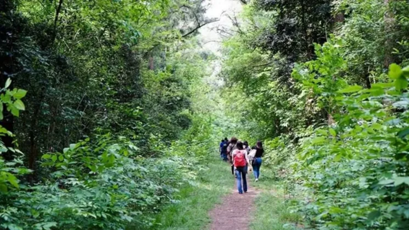 Reserva Los Robles es una alternativa muy completa que cuenta con variedad de actividades. 