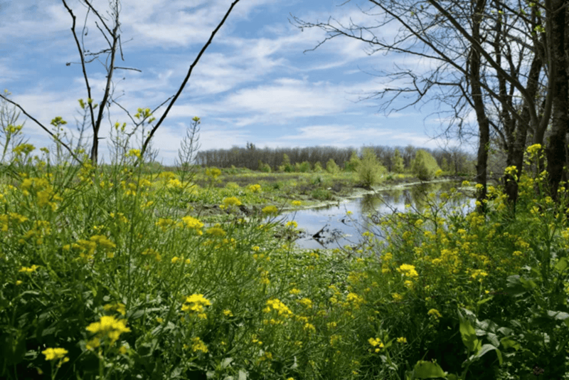 La Reserva Natural del Pilar propone una escapada perfecta para el fin de semana. 