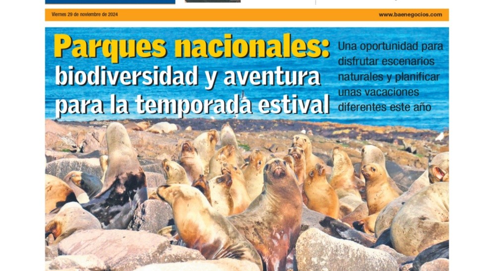 Tapas del viernes 29 de noviembre de 2024.