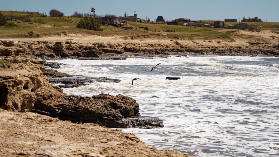 Esta costa es perfecta para aquellos visitantes que buscan la tranquilidad y el contacto con la naturaleza.