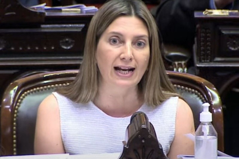 Tras el fracaso de la sesión en el Congreso, la diputada del PRO Silvia Lospennato le escribió al Presidente. 