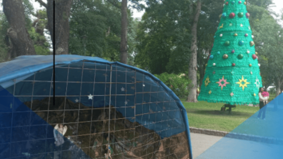 La pareja quedó tras las rejas por el intento de robo de las luces de Navidad.