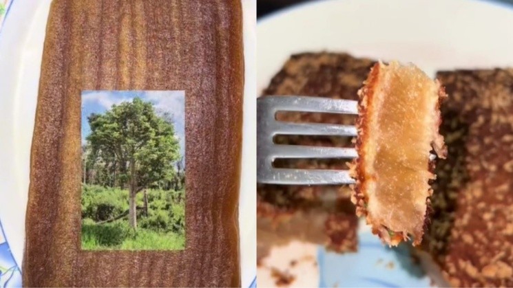 A través de las redes, un usuario compartió la receta de milanesas de madera y capturó decenas de miradas (Instagram/@hombremilanesa).