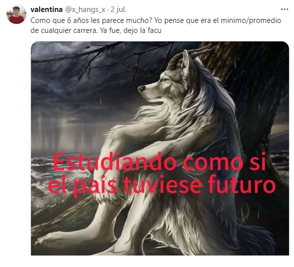 Los usuarios reaccionaron con memes a las respuestas de internautas que cuestionaron la cantidad de años de estudio (X).