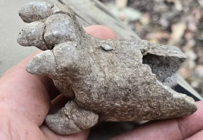  Parte de lo encontrado en la selva mexicana (INAH).