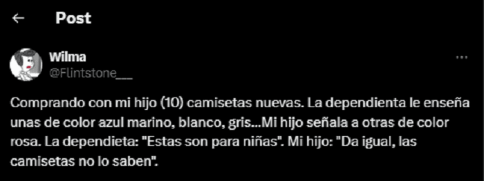  Este fue el posteo que compartió la madre del nene que tuvo una ingeniosa respuesta cuando una vendedora le quiso ofrecer remeras 