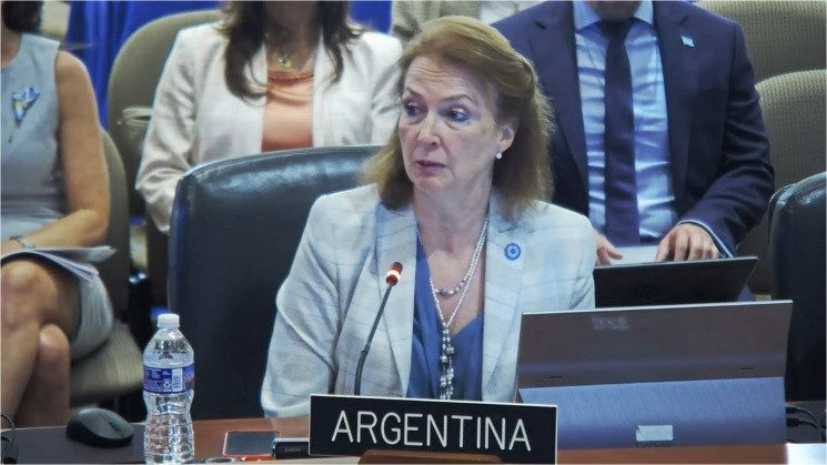 La canciller argentina, Diana Mondino, participó de la reunión.