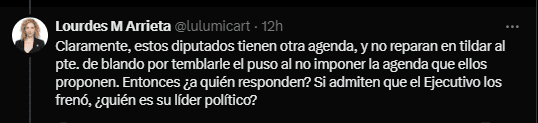  Las críticas de los diputados, según lo expuesto por Arrieta.