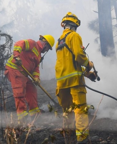  Los Bomberos siguen combatiendo el incendio en   <a href='https://www.cronica.com.ar/tags/Córdoba'>Córdoba</a> (NA).