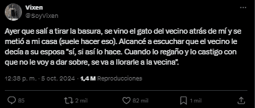  La llamativa acción de un gato que conquistó a todos.