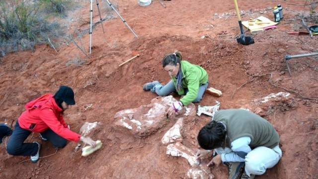 Los paleontólogos trabajan cuidadosamente en la zona del hallazgo. (Gentileza viapais.com.ar)