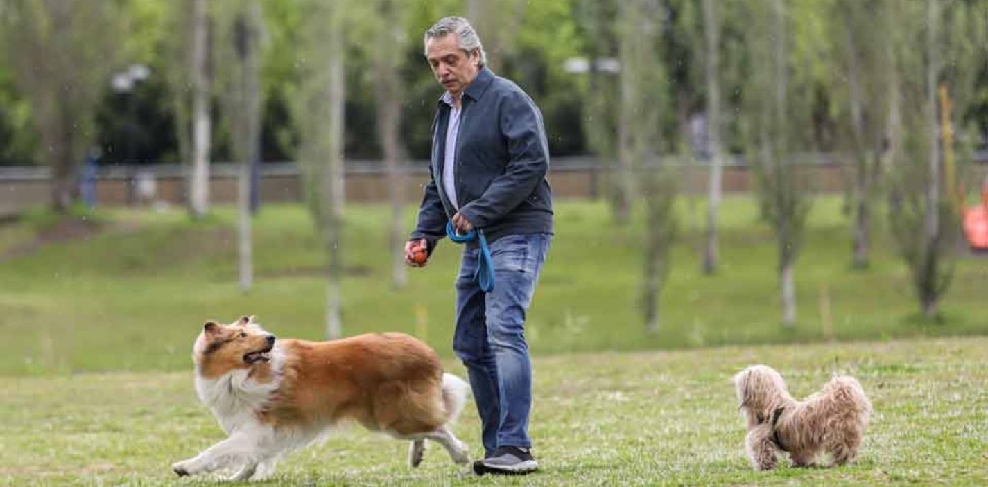 Alberto Fernández con su perro Dylan (Archivo).