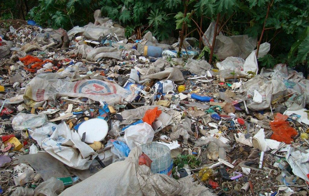 El fuerte suceso tuvo lugar en un basural de Villa Rosa, ubicado a unos 500 metros de la estación ferroviaria.