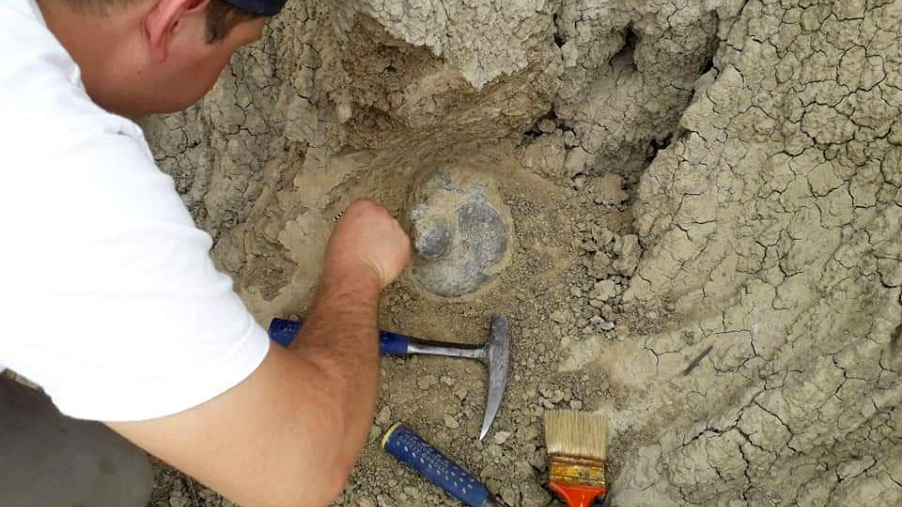 Un grupo de investigadores realizando tareas en la reserva Toropí (Télam).