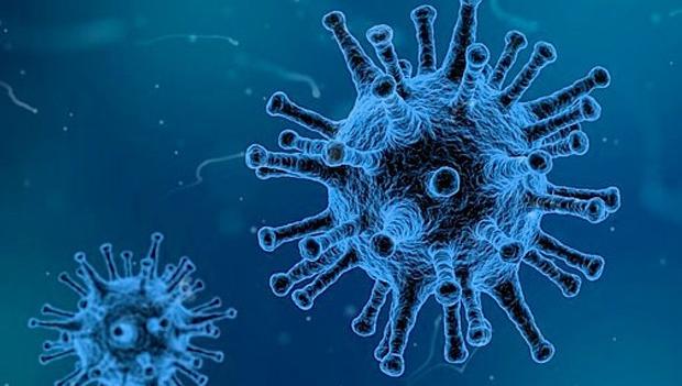 Cómo es el Bunyavirus, el virus letal que reapareció en China y ya causó siete muertes.