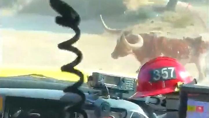 El toro asustado por el fuego, corrió a los bomberos. (Captura de video)