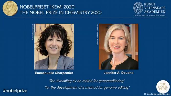 Emmanuelle Charpentier y Jennifer Doudna, las científicas que ganaron el Nobel de Química 2020. 