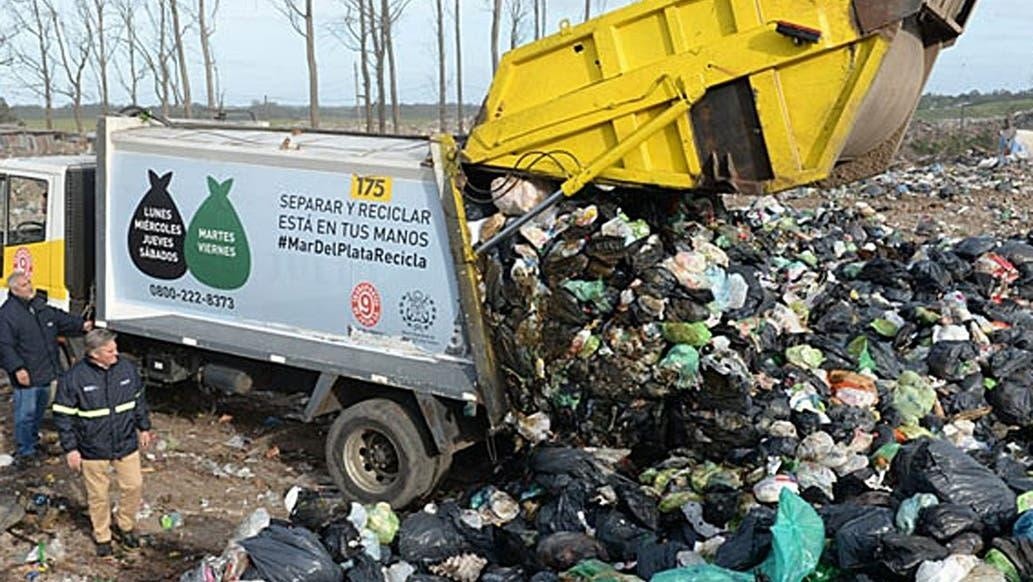 El macabro hallazgo se realizó en el predio de Disposición Final de Residuos de Mar del Plata. 