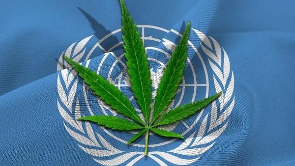 Es oficial: la ONU aprueba el uso medicinal del cannabis.