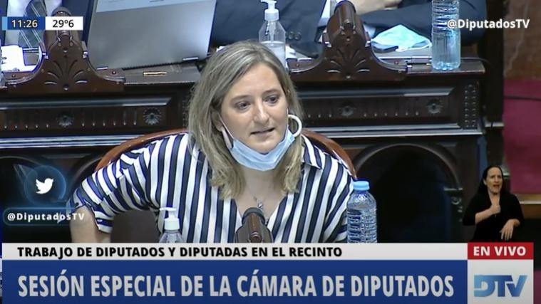 La diputada Lucila Lehman durante la sesión de este jueves en Diputados (Captura de pantalla).