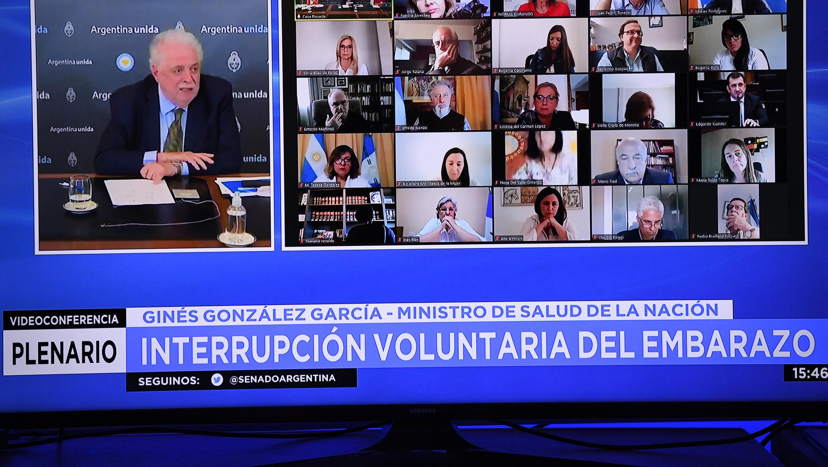 El Senado debate por la interrupción voluntaria del embarazo.