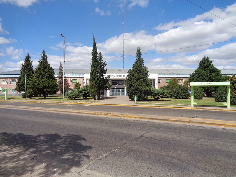 Matías Víctor Moralez, de 20 años, perdió la vida en el Hospital Héroes de Malvinas, en Merlo.