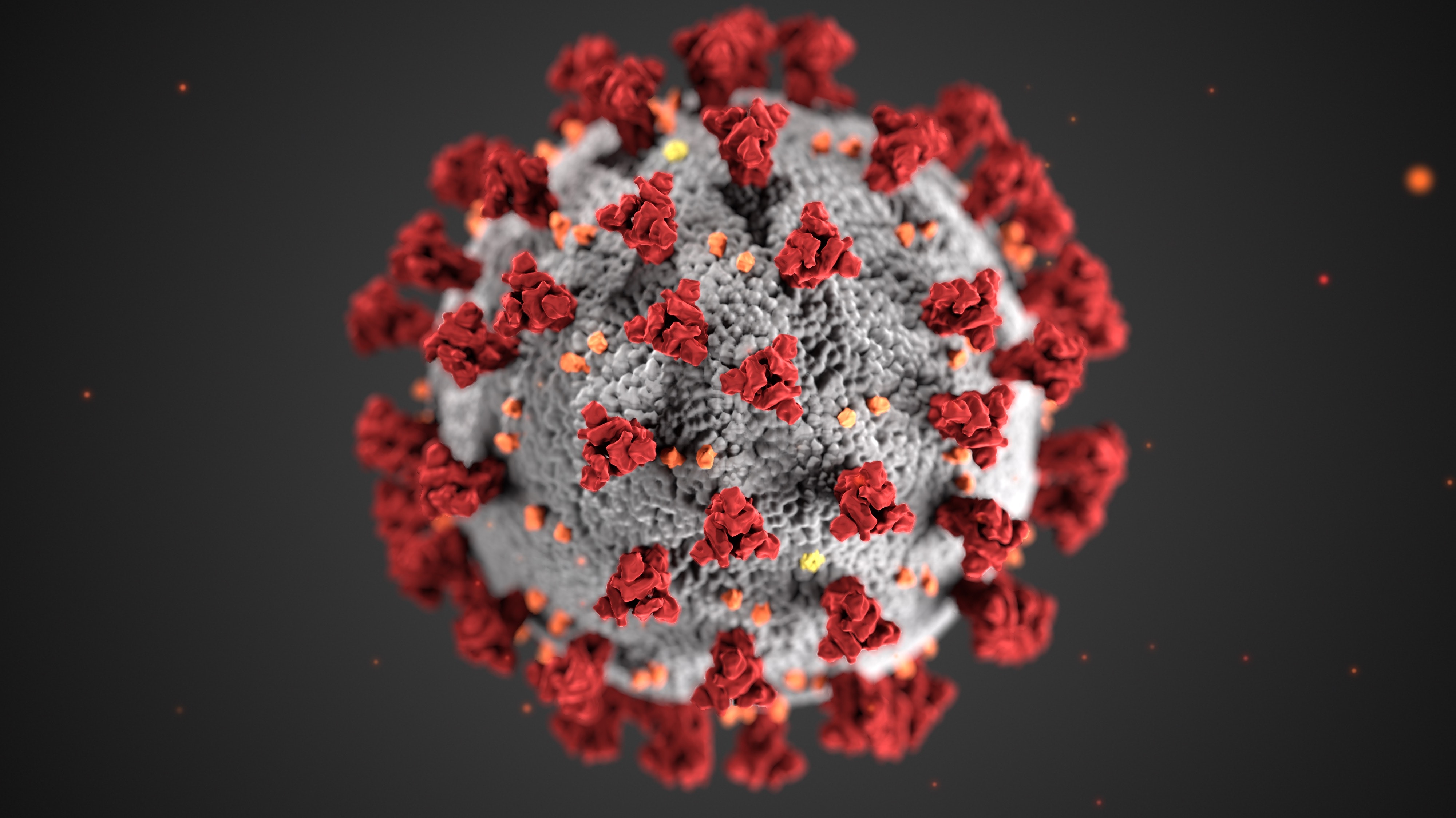 Pandemia de coronavirus hoy