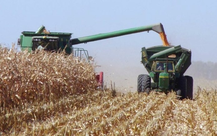 Buscan asegurar el abastecimiento interno del cereal. 