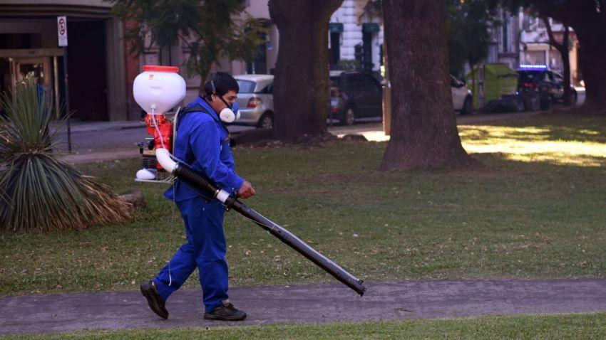 Una mujer de 35 años fue confirmada como el primer caso de dengue del año en Rosario (Gentileza: Redacción Rosario