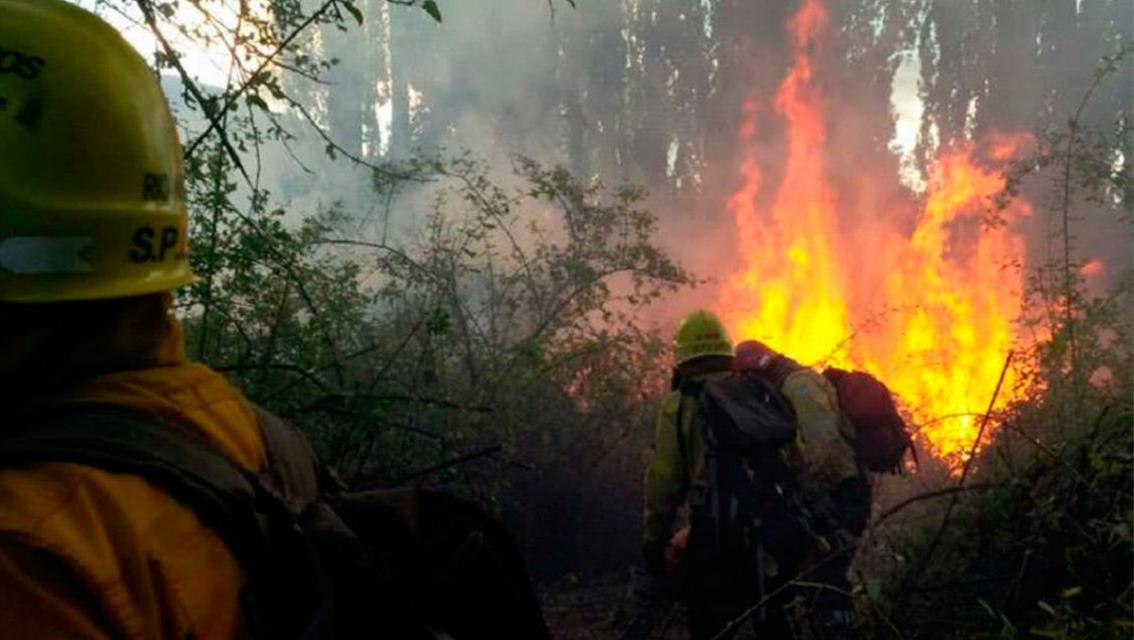 Por la falta de humedad en el lugar y la intensidad del viento, el incendio se propagó.